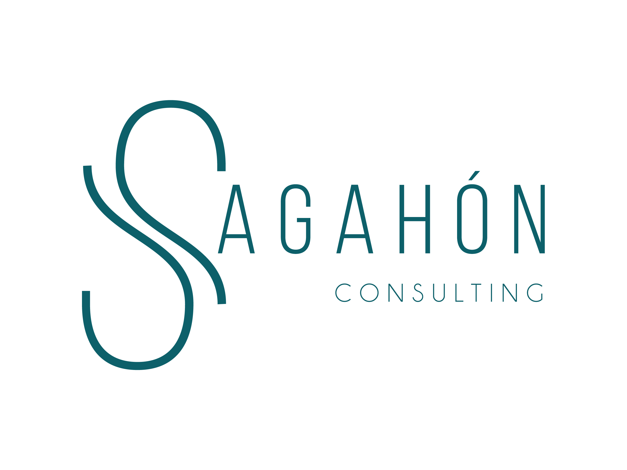 SAGAHÓN CONSULTING