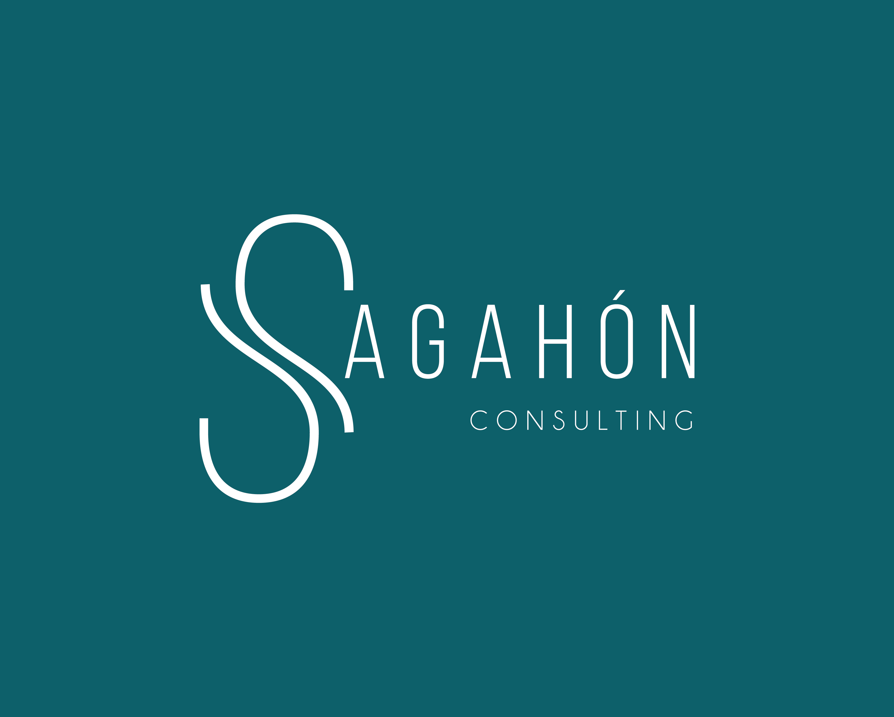 sagahon-consultores